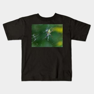 A Spider Weaves Its Web Kids T-Shirt